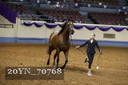 20YN_70768 thumbnail