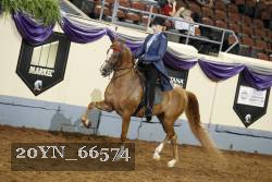 20YN_66574 thumbnail