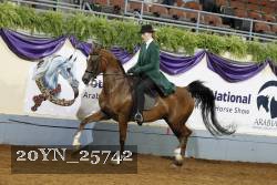 20YN_25742 thumbnail
