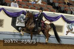 20YN_25875 thumbnail