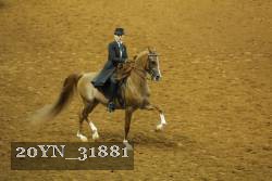 20YN_31881 thumbnail