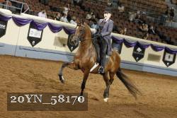 20YN_58170 thumbnail