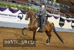 20YN_58171 thumbnail