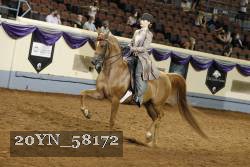 20YN_58172 thumbnail
