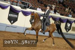 20YN_58177 thumbnail