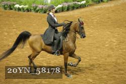 20YN_58178 thumbnail