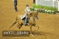 20YN_58189 thumbnail