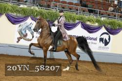20YN_58207 thumbnail