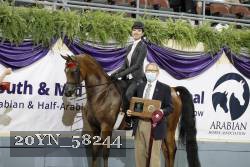 20YN_58244 thumbnail