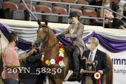 20YN_58250 thumbnail