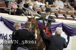 20YN_58261 thumbnail