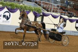 20YN_67732 thumbnail