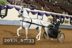 20YN_67733 thumbnail