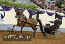 20YN_67741 thumbnail