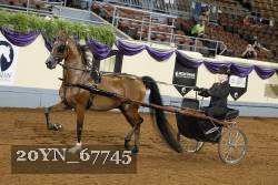 20YN_67745 thumbnail