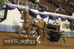 20YN_67755 thumbnail