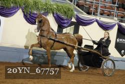 20YN_67757 thumbnail
