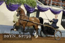 20YN_67759 thumbnail