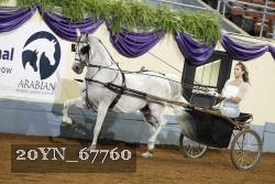 20YN_67760 thumbnail