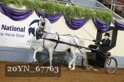 20YN_67763 thumbnail