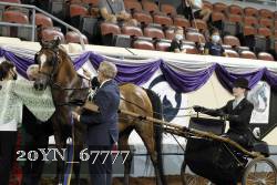 20YN_67777 thumbnail
