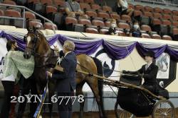 20YN_67778 thumbnail