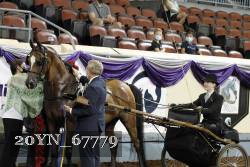 20YN_67779 thumbnail