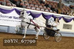 20YN_67790 thumbnail