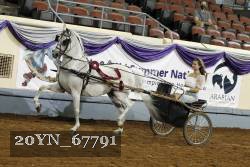 20YN_67791 thumbnail