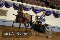 20YN_67795 thumbnail