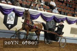 20YN_67807 thumbnail