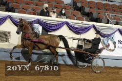 20YN_67810 thumbnail