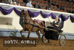 20YN_67814 thumbnail
