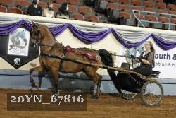 20YN_67816 thumbnail