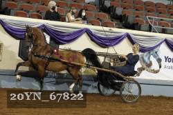 20YN_67822 thumbnail