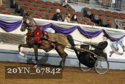 20YN_67842 thumbnail