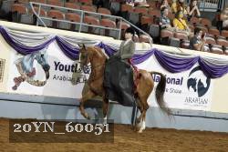 20YN_60051 thumbnail