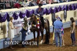 20YN_60474 thumbnail