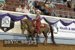 20YN_60525 thumbnail