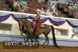 20YN_60527 thumbnail