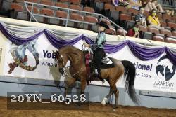 20YN_60528 thumbnail