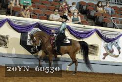 20YN_60530 thumbnail
