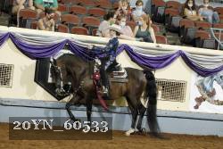 20YN_60533 thumbnail