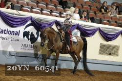 20YN_60541 thumbnail