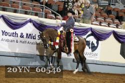 20YN_60546 thumbnail