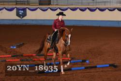 20YN_18935 thumbnail