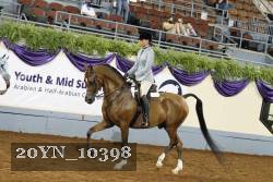 20YN_10398 thumbnail