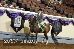 20YN_10401 thumbnail