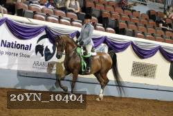 20YN_10404 thumbnail
