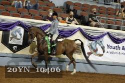 20YN_10406 thumbnail